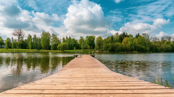 Mid-Summer Maintenance for Waterfront Properties | Cressy & Everett Real Estate
